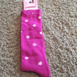 New With Tags Gymboree Pretty in Plum knee socks shoe Sz 1-2